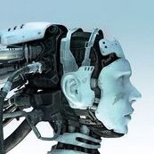 n1rgal23's profile picture. Limes inferior