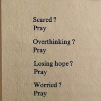 Shaheim Revel (@revel2019) 's Twitter Profile