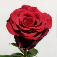 بنت مكة (@ffbnt472183) Twitter profile photo