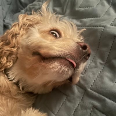 125Pebbles's profile picture. $IvetteSkye - Venmo