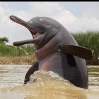 Not Too Much To Say (@notmuchtuhsay) 's Twitter Profile Photo Not Too Much To Say (@notmuchtuhsay) 's Twitter Profile Photo