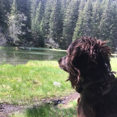 J’assume mes abonnements mes actions ! chasseur et pêcheur armé jusqu’à dent . dauphinois de naissance france 🇫🇷 de cœur ❤️