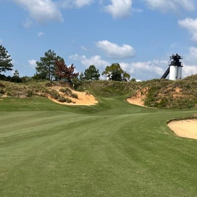 RedRiot919's profile picture. Hopelessly loyal NC State, TW, Man Utd, Hornets, and Falcons fan. “Failure’s not a bad thing. It builds character. It makes you stronger.”