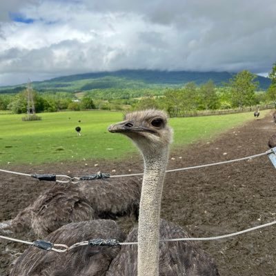 HgbjhfzG6JeMwvU's profile picture. 疲れたら投稿　札幌