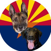 Maisy & K9 Loki (Ret)(@TpdLoki) 's Twitter Profile Photo