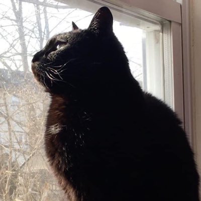Princess Noella Chelly Profile