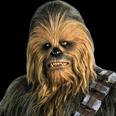 MauricioRD500's profile picture. 