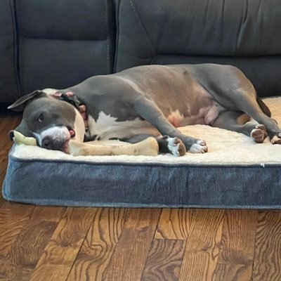 JaysonStrozews1's profile picture. N/A