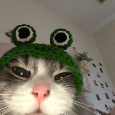 teumeteamo's profile picture. 