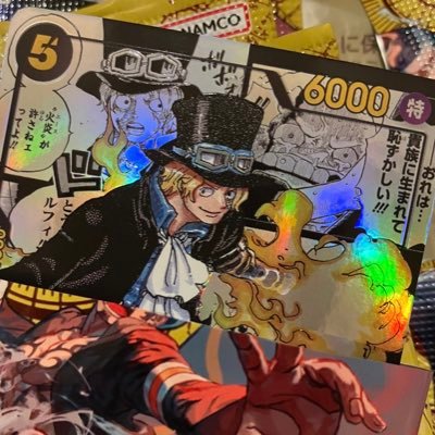eureka8ee8's profile picture. サボ漫画パラレルをぶち抜いたので名前変更😆eureka8→sabo38 遊戯王、ポケカ、コレクション狂い… 昔のカード無くして再収集中😭✨