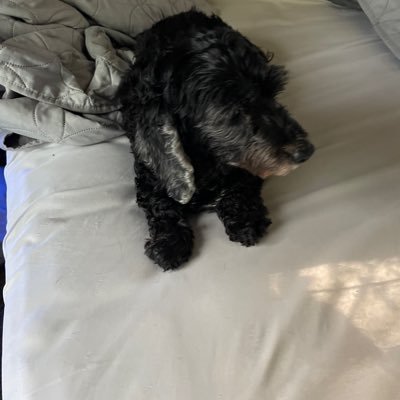 RAG850599428851's profile picture. 