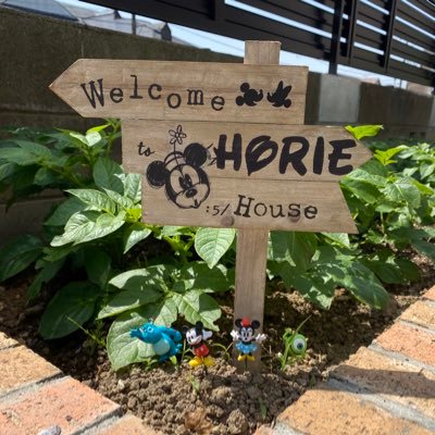 saitamanurseman's profile picture. 佐賀競馬をメインに馬を走らせている埼玉県民です。佐賀県＆埼玉県馬主会会員。学生野球と学生駅伝が好きです。ヘッダー写真ご提供りきしゃん様(@rikisyann)