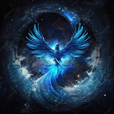 jwil_son's profile picture. 