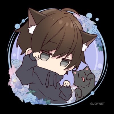 SY_NightCat Profile Picture