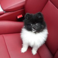5 9 (@ff6c55) 's Twitter Profile