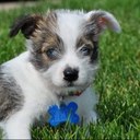 Dan Thill - @ThillDan - Twitter