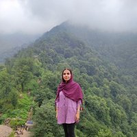 Zahra Nadizadeh (@znadizadeh) 's Twitter Profile