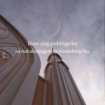 prrtylhen's profile picture. Be patient. God heard your prayers🇮🇹