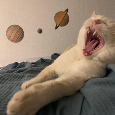 starbulls66's profile picture. 