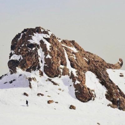 rqfv_fps's profile picture. 米国大志望の高3 VR, 3DCGを学ぶ予定