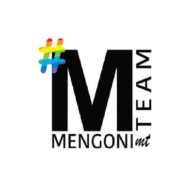 Profilo ufficiale del gruppo Facebook #MENGONITEAM, nato per sostenere e promuovere @mengonimarco sul web.