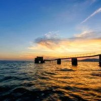 wanqing (@wanqing23913) 's Twitter Profile