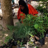 FATIME SULEIMAN (@fatimesuleiman) 's Twitter Profile