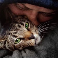 映画『猫と、とうさん』公式 on X: 