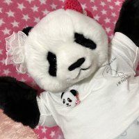 米津パンダさち子（米津さち子）(@mayone_zoo) 's Twitter Profile Photo