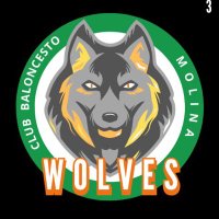 CB Molina Wolves (@cb_molinawolves) 's Twitter Profile