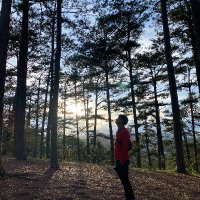 Loc Nguyen Properties (✸,✸) 🦭/acc🔥Tabi 🟧 (@locbds) Twitter profile photo