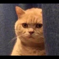 Error 🇸🇦 (@error440447) Twitter profile photo