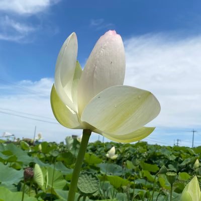 岐阜県在住 🍃  ミシンをカタカタ😊姉と一緒にものづくりをしています👜  楽しい毎日です🎈