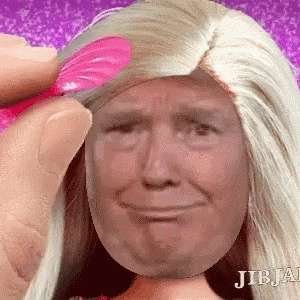 ReddoOnReddit's profile picture. Insight and NFT.
I love @BoredApeYC