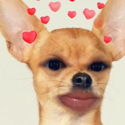 Zammskie's profile picture. Will not use this account na. My new account is @LuckyMeZam. Follow me!