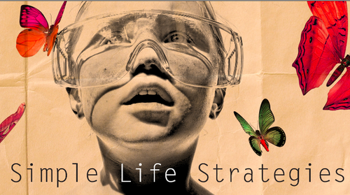 The official twitter page for Simple Life Strategies; a blog about understanding how the most exceptional people operate.