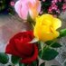 Mehmood Khan (@mehmood44661389) Twitter profile photo Mehmood Khan (@mehmood44661389) Twitter profile photo