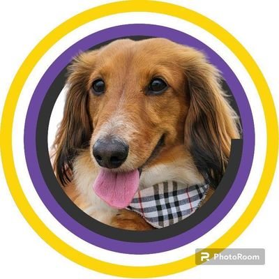 jj8ggz's profile picture. 無線系ガジェット・乗り物全般・台湾旅行が大好物です(笑)　フリラコール：おびひろWS241／アマチュアコール：JJ8GGZです。2023年12月 釧路に転勤しますた。