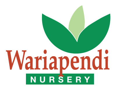 Wariapendi Native Nursery is located in the Southern Highlands of NSW. We provide native plants and revegetation services.