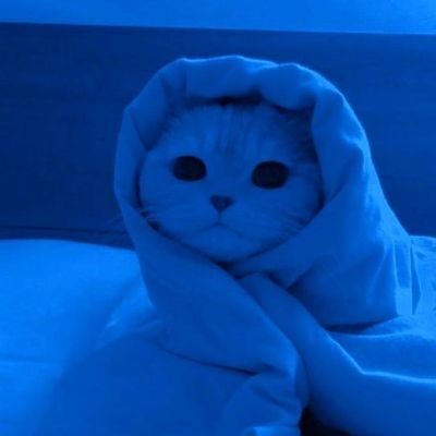 smixesmrd's profile picture. https://t.co/uM1havpXev
~INTP
من تاریکی‌‌ های‌ روحشو دیدم و فهمیدم مشکی رنگ مورد
 علاقمه.