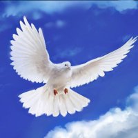 DOE (@doe691123) 's Twitter Profile Photo DOE (@doe691123) 's Twitter Profile Photo