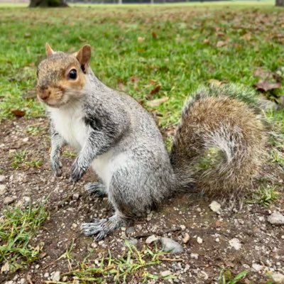 solventred's profile picture. Cyber Security enthusiast
Opinions are my own.