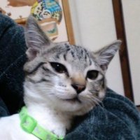 マイ (@iloverono) 's Twitter Profile