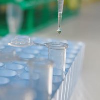 Translational Brain Science Research Birmingham UK (@brainlabbhamuk) 's Twitter Profile Photo Translational Brain Science Research Birmingham UK (@brainlabbhamuk) 's Twitter Profile Photo