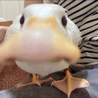 Wendy (@wendyomgwar) 's Twitter Profile Photo Wendy (@wendyomgwar) 's Twitter Profile Photo