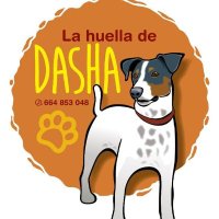 Asociación la Huella de Dasha(@lahuelladedasha) 's Twitter Profile Photo