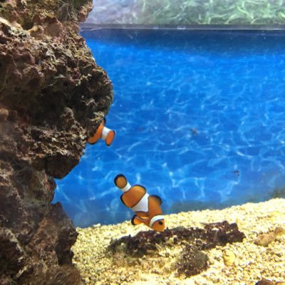 maru_xxxx2413's profile picture. 