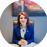 Gülcan Kış(@GulcanKis) 's Twitter Profile Photo