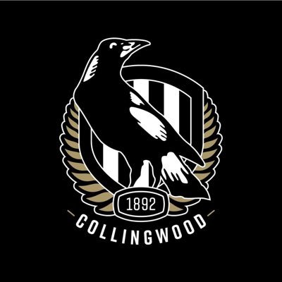 My family are my 🌎 Collingwood FC 🖤🤍.