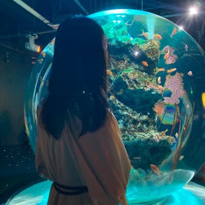 0104Hayato's profile picture. 🧸♔︎/🐯⚾️/🀄渋谷ABEMAS推し/💻/🎮/キュウソ/ヤバT/ドリアン/お笑い/雀豪2 ヘッダーは食い変えミスの戒め